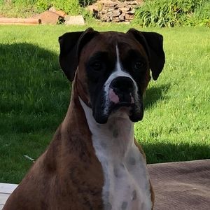 Meet your Posher, Steve